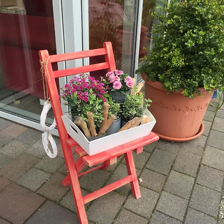 Seestern Nyaraló Damp