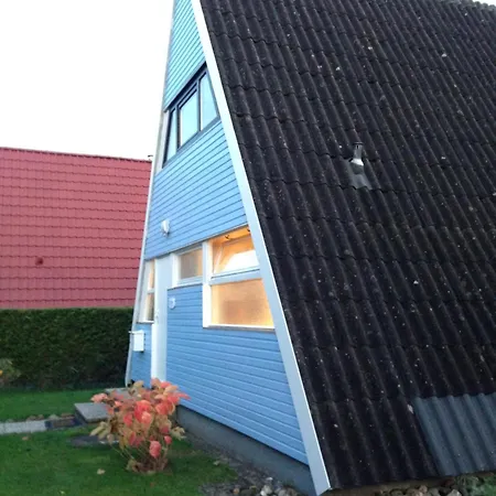 Seestern Damp