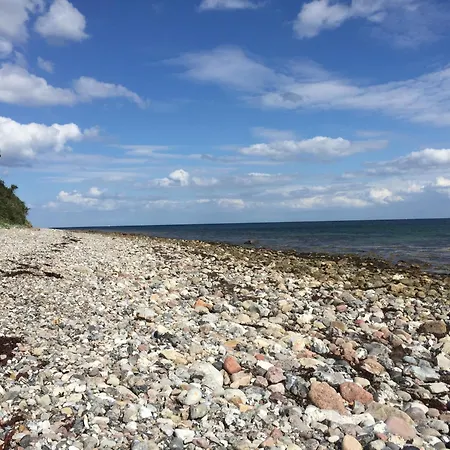 Nyaraló Seestern Damp