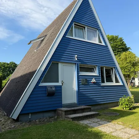 Seestern Damp
