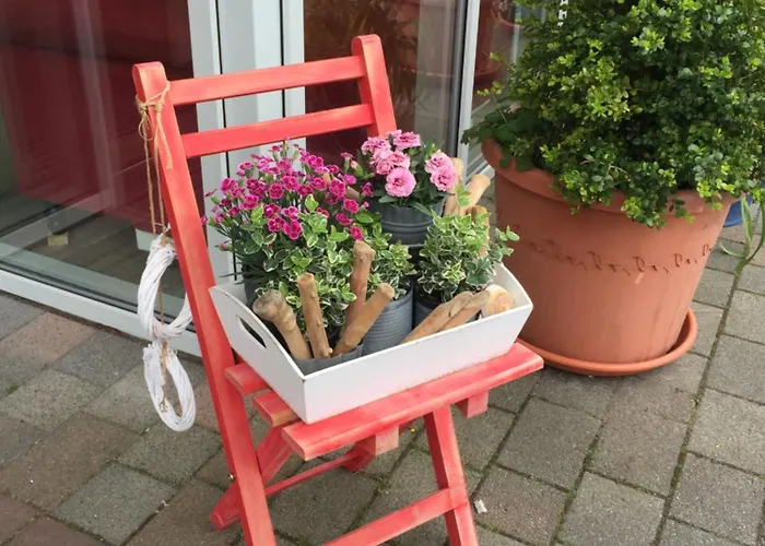 Seestern Vakantiehuis Damp